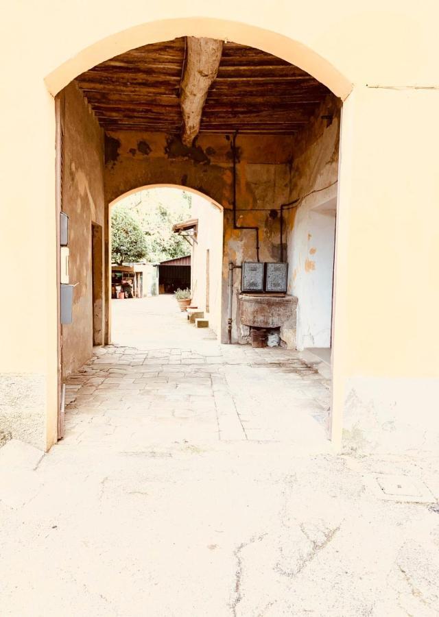 Villa Patrizia סיינה מראה חיצוני תמונה